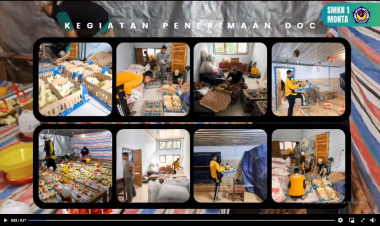 Persiapan Kandang Ayam